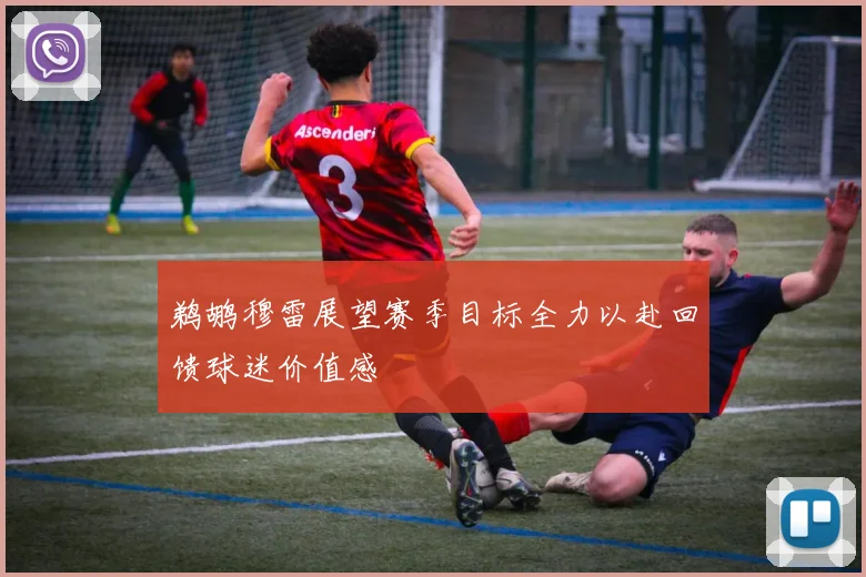 鹈鹕穆雷展望赛季目标全力以赴回馈球迷价值感