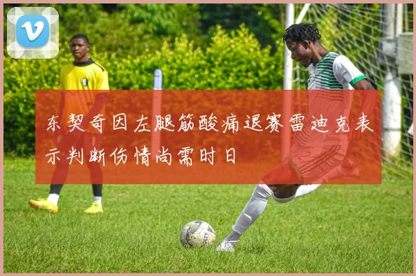 东契奇因左腿筋酸痛退赛雷迪克表示判断伤情尚需时日