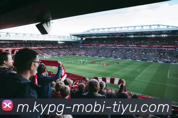 开元棋牌平台生态图